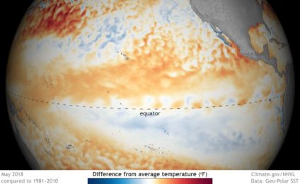 El NIÑO ¿Bien, bien, bien, qué tenemos aquí?